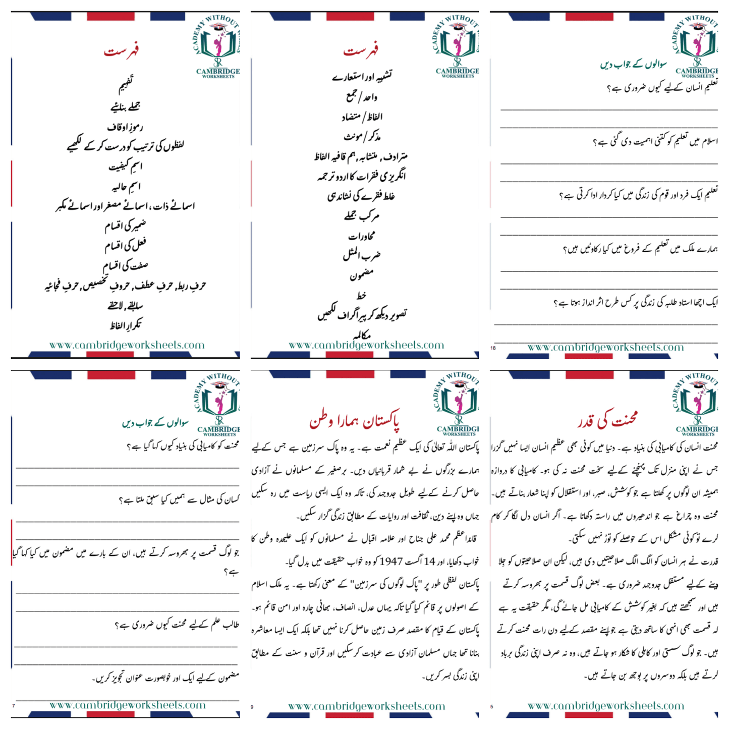 Grade 8 (Urdu)