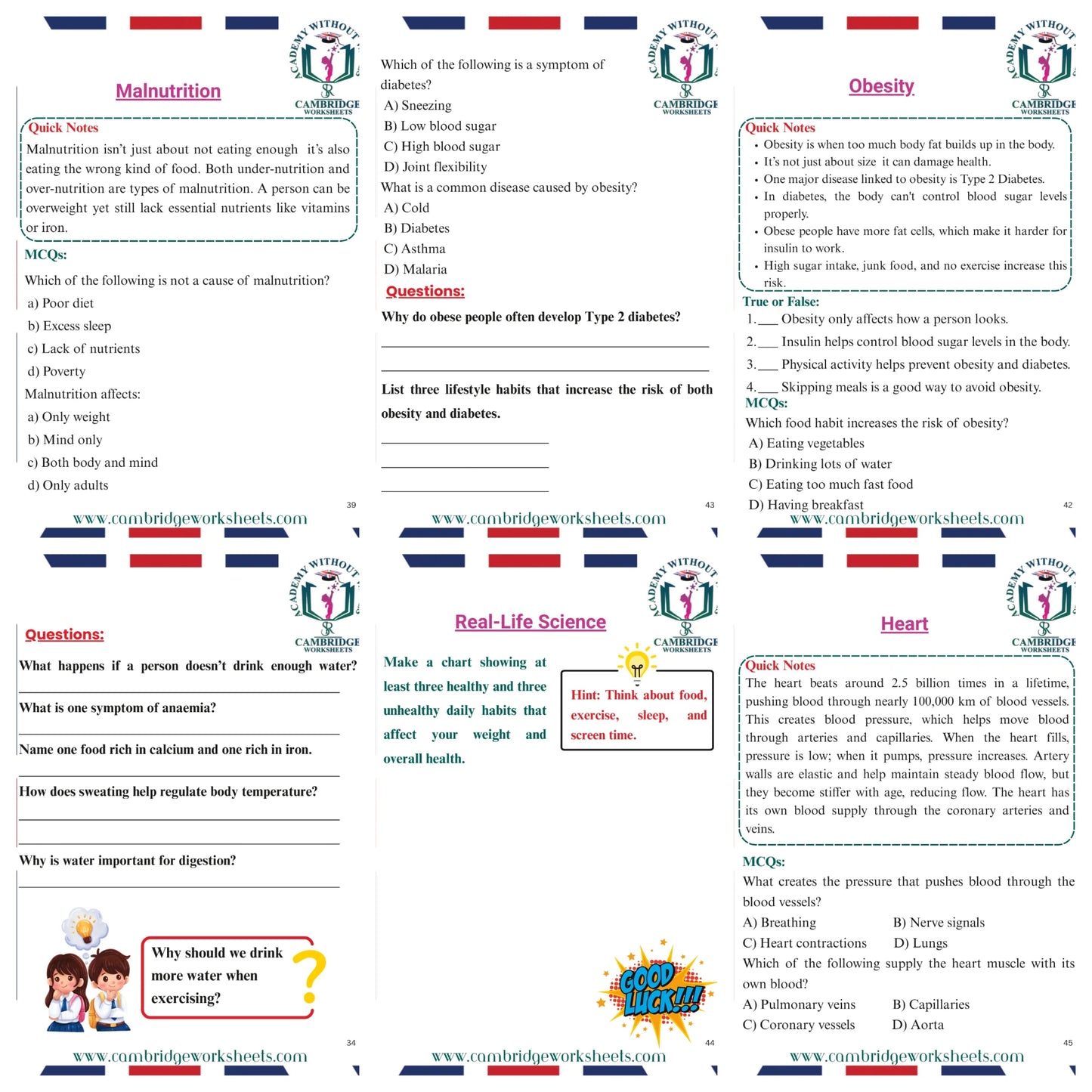 (Grade 7) Science Pack