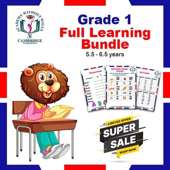 Grade 1 Full Bundle