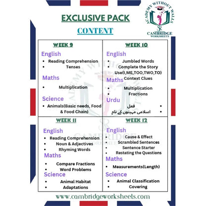 Grade 2 Reading Comprehension and Vocabulary worksheets
