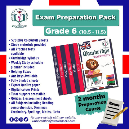Grade 6 Exam Preparation Pack with printed revision worksheets