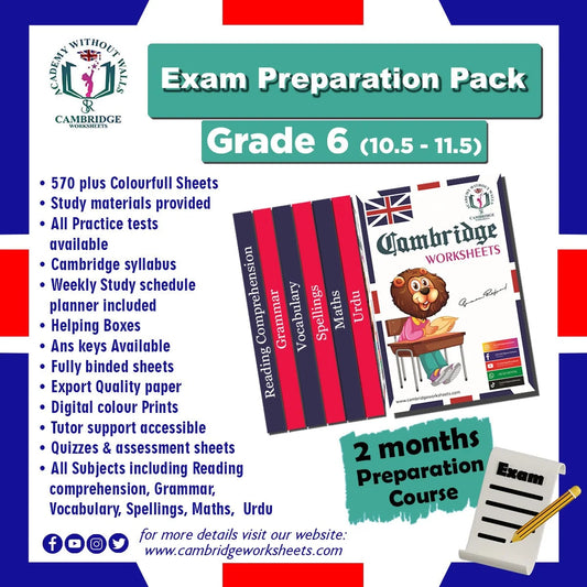 Grade 6 Exam Preparation Pack with printed revision worksheets