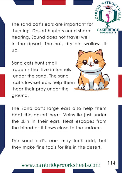 Grade 1 Reading Comprehension Pack Contents Page 9 – Cambridge Worksheets