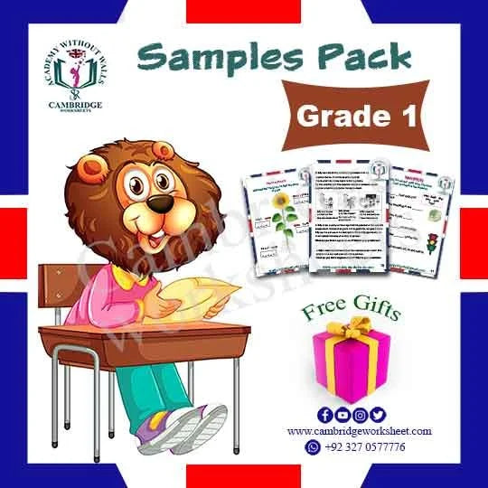 Grade 1 Samples Pack with printed educational worksheets
