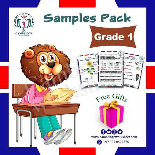 Grade 1 Samples Pack with printed educational worksheets