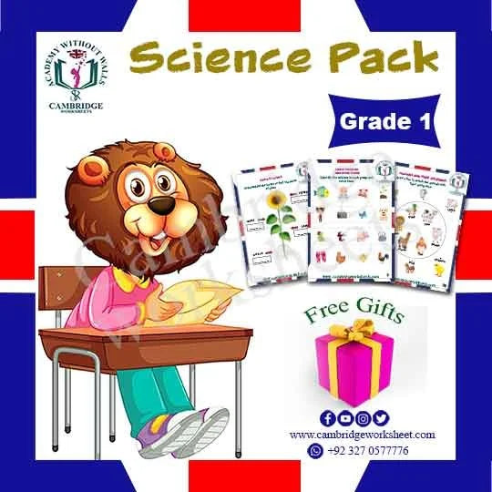 Grade 1 Science Pack Cambridge printed science worksheets