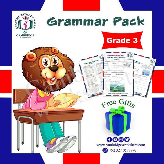 Grade 3 Grammar Pack Cambridge printed worksheets