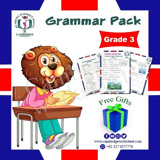 Grade 3 Grammar Pack Cambridge printed worksheets
