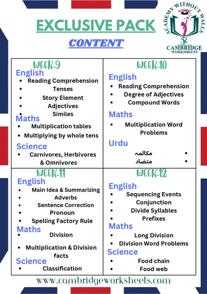 Grade 3 Reading Comprehension and Vocabulary worksheets