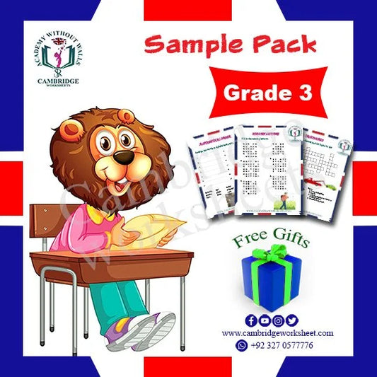 Grade 3 Samples Pack with printed educational worksheets