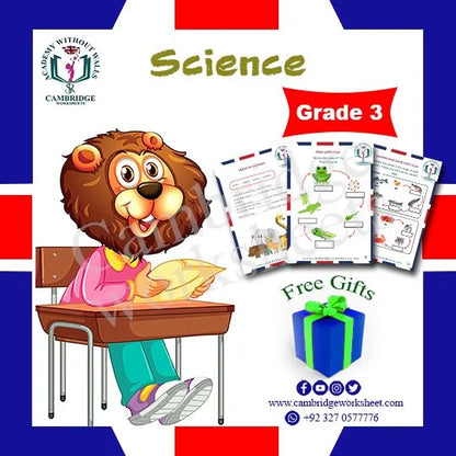 Grade 3 Science Pack Cambridge printed worksheets
