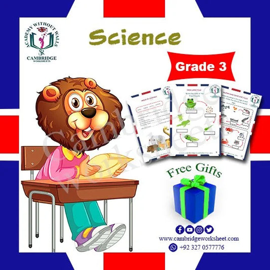 Grade 3 Science Pack Cambridge printed worksheets