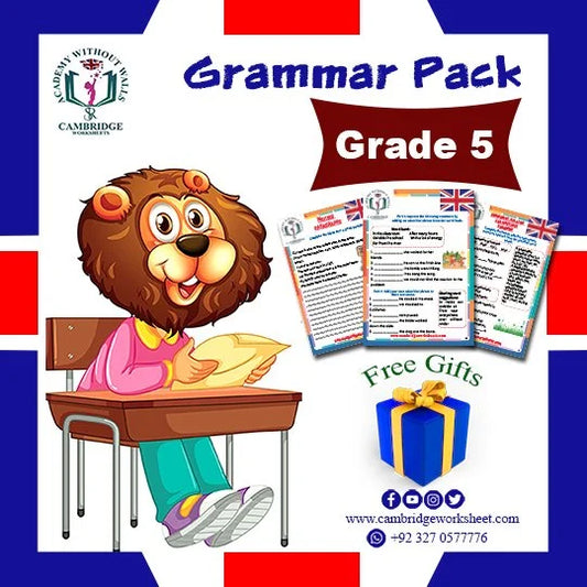 Grade 5 Grammar Pack with printed English grammar worksheets