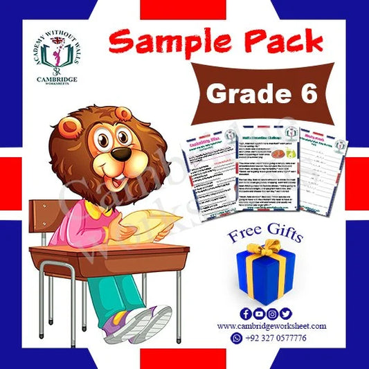 Grade 6 Samples Pack with printed educational worksheets