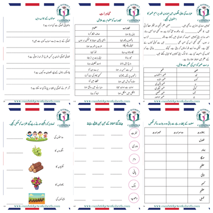 Grade 8 Urdu workbook for language practice