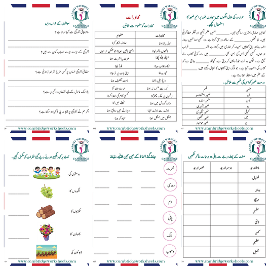 Grade 8 Urdu workbook for language practice