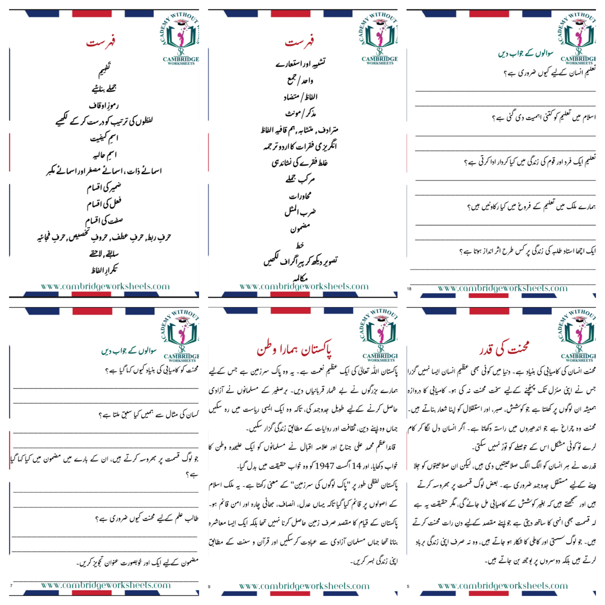 Printed Grade 8 Urdu learning worksheets