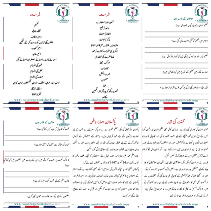 Printed Grade 8 Urdu learning worksheets