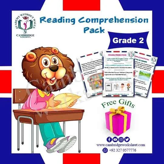 Reading Comprehension Grade 2 Cambridge printed worksheets